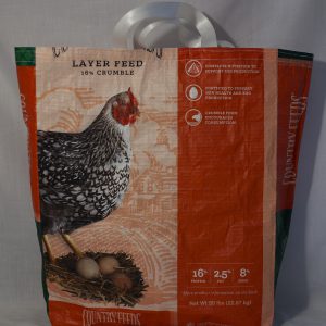 Mama Hen and Her Eggs Bag